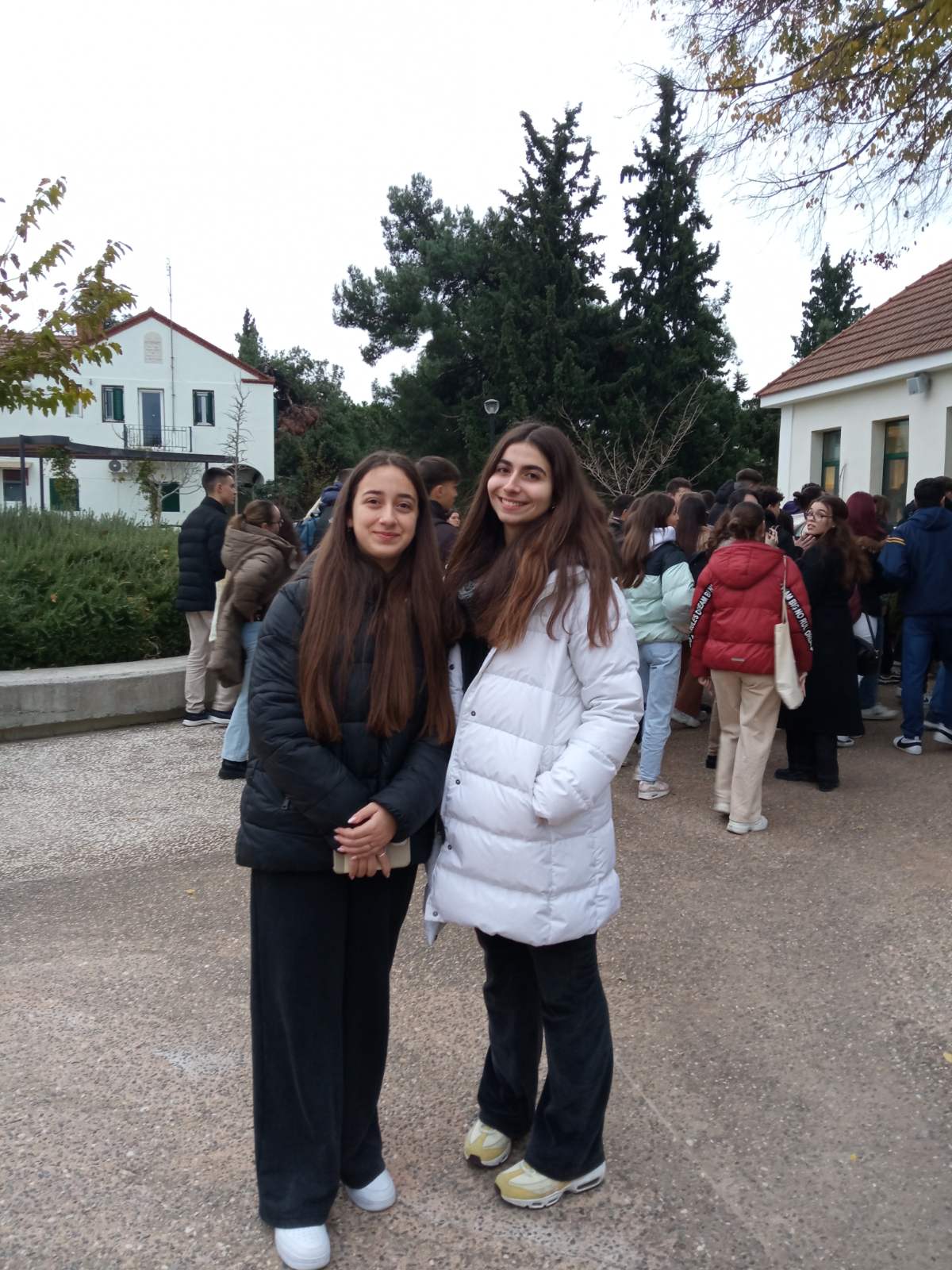 εικόνα Viber 2023-12-20 00-43-45-641